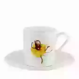 China Babyccino Mug